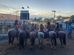 Rodeo Under the Lights
