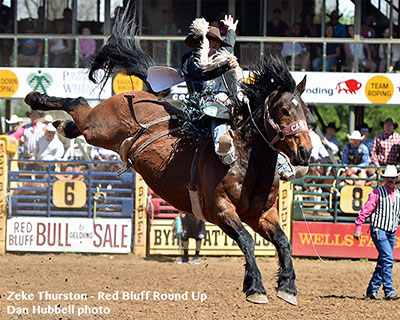 Zeke Thurston and Urgent Delivery - Red Bluff Round Up photo by Dan Hubbell
