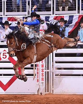 Stetson Wright and Macza's Get Smart. FWSSR photo by James Phifer