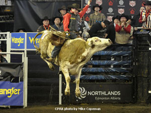 Scott Schiffner - 2012 Bull Riding Champion