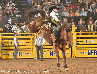 Jake Vold - WNFR - photo by Dan Hubbell