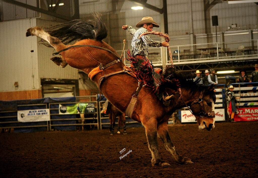 Bronc rider