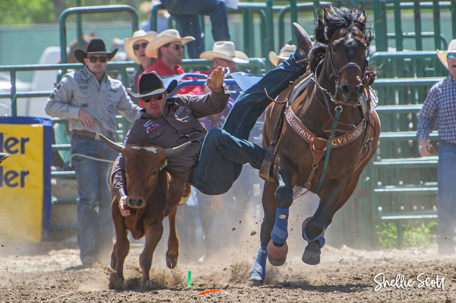 Contestants Capitalize on 3-Rodeo Weekend – Canadian Pro Rodeo Association