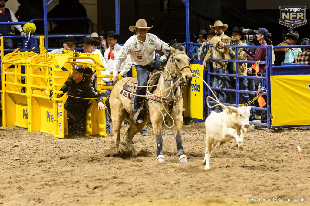 Ty Harris on Logan Bird's 3 X Canadian Tie Down Roping Horse of the Year, Peso. PRCA photo by Roseanna Sales