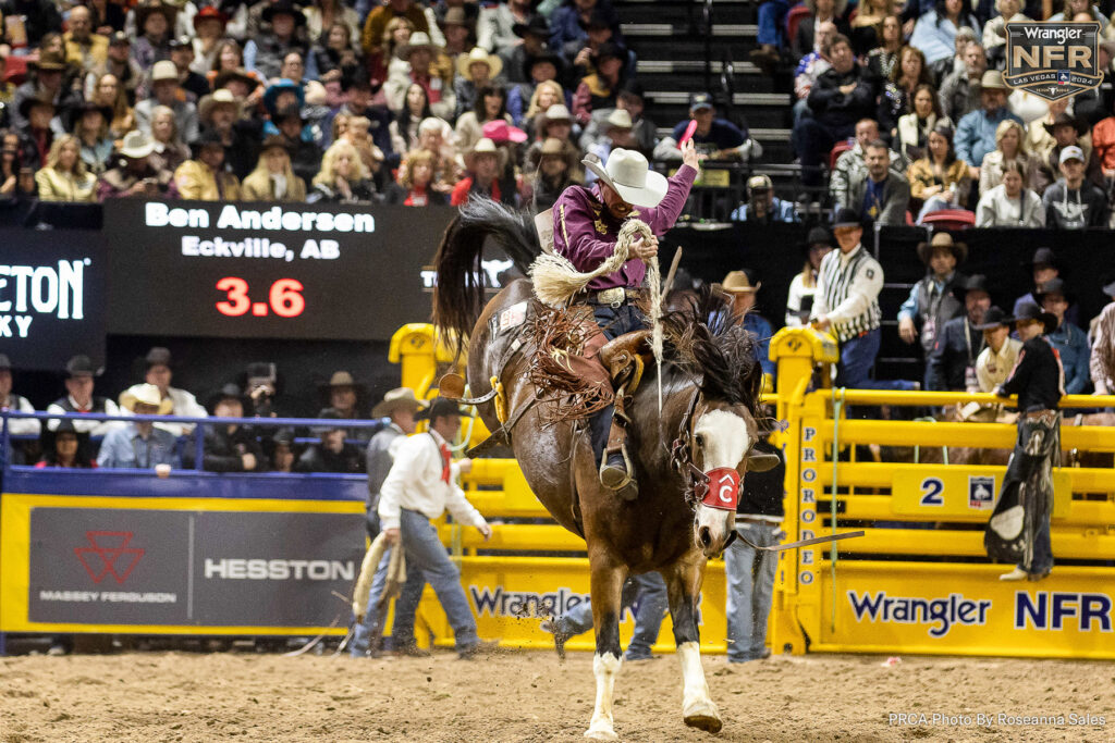 Andersen on Pete Carr Rodeo's Uptuck. PRCA photo by Roseanna Sales