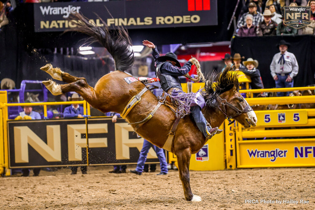 Logan Hay - PRCA WNFR photo by Hailey Rae