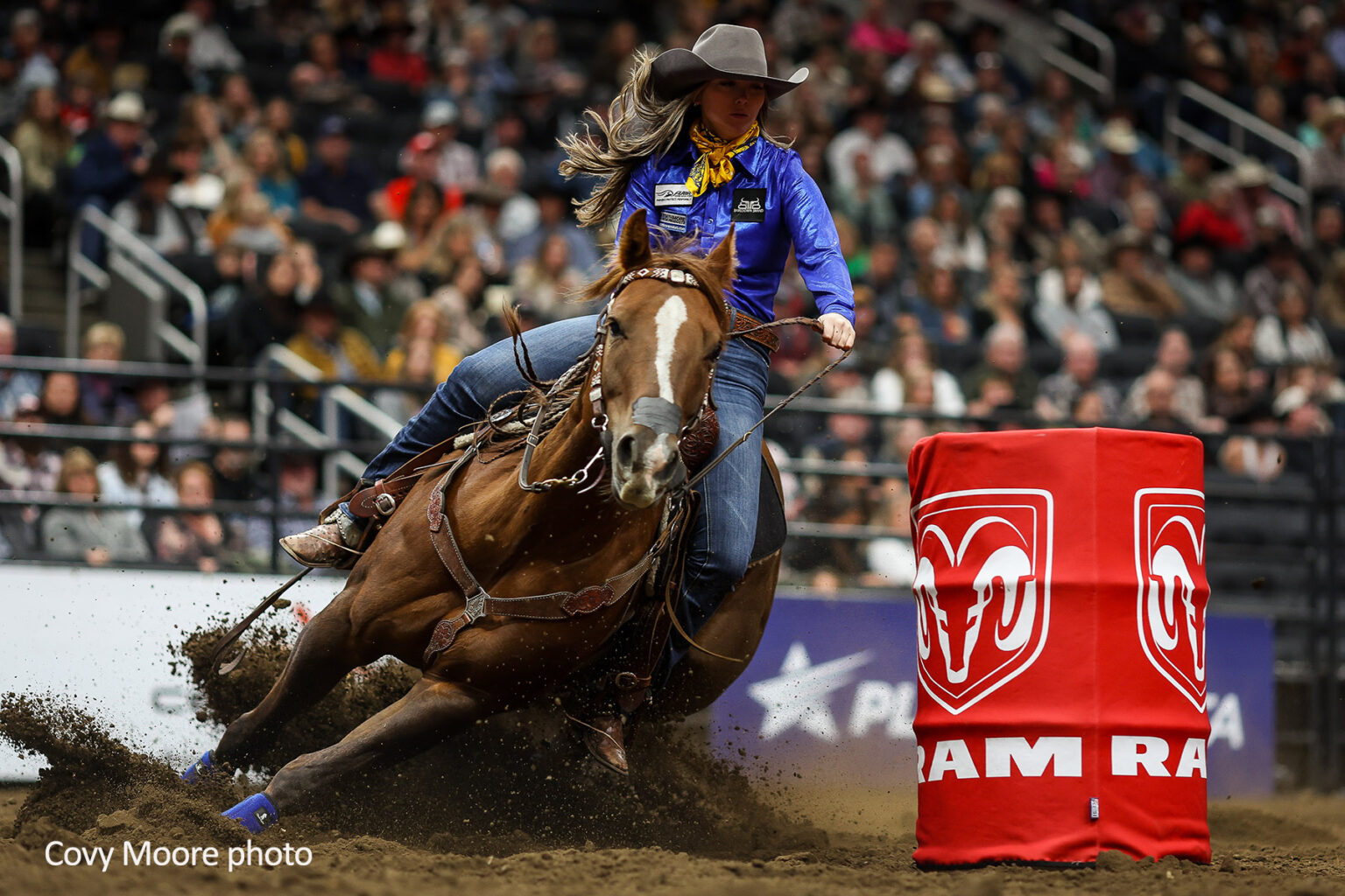 Pro Rodeo Canada Celebrates 2025 Year-End Award Winners and CFR ...