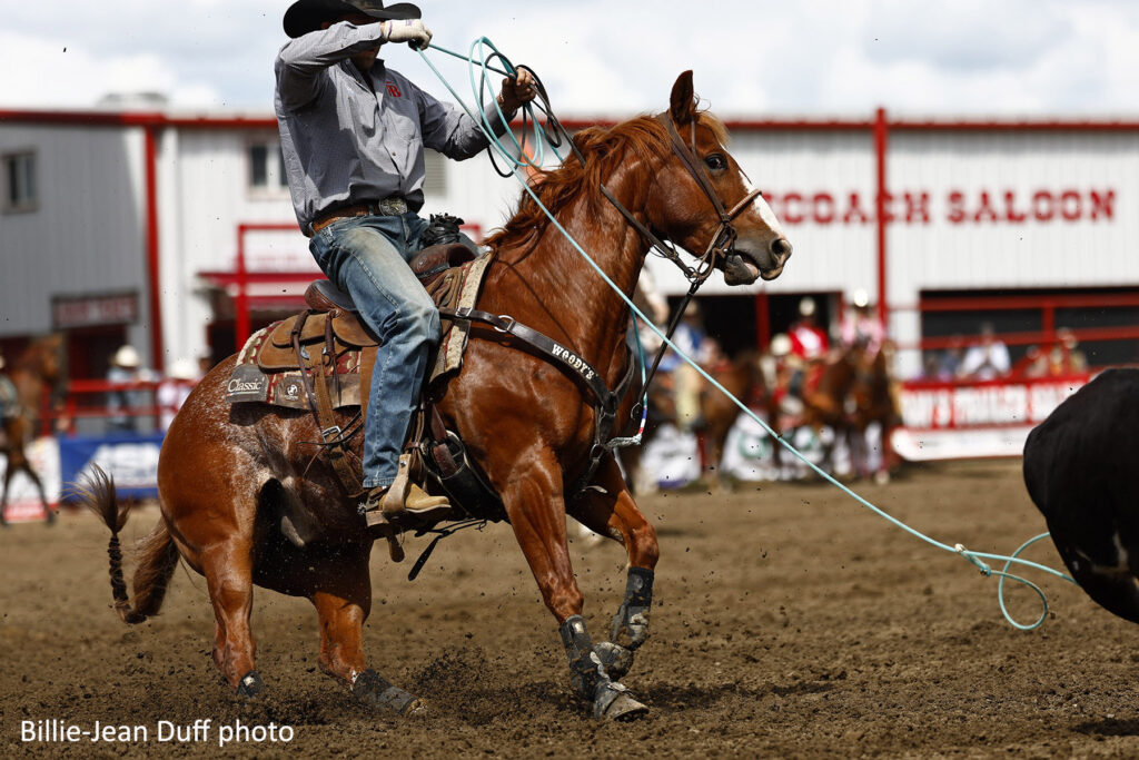 Kasper Roy and Super Chad - 2025 Heeling Horse of the Year. Billie-Jean Duff photo