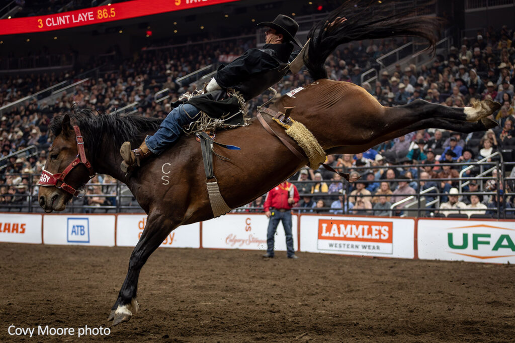 Clint Laye and Calgary Stampede's Fresh Chick. CFR photo by Covy Moore