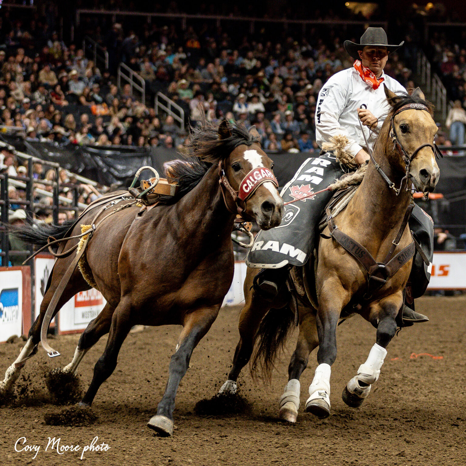 Canadian Pro Rodeo Association