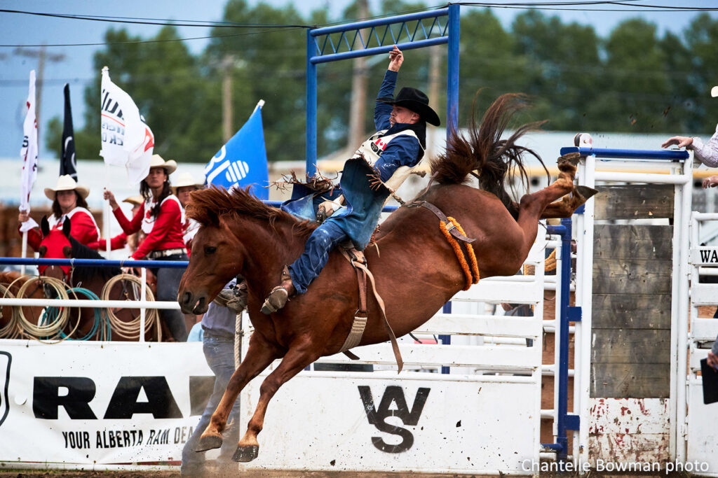 Kody Lamb & Vold's Dancing Queen. 2023 Wainwright Stampede photo by Chantelle Bowman