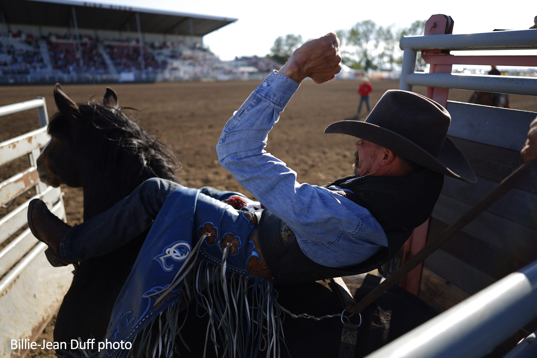 Orin Larsen & C5 Rodeo's Wichita. 2026 Guy Weadick Rodeo (High River, AB) by Billie-Jean Duff