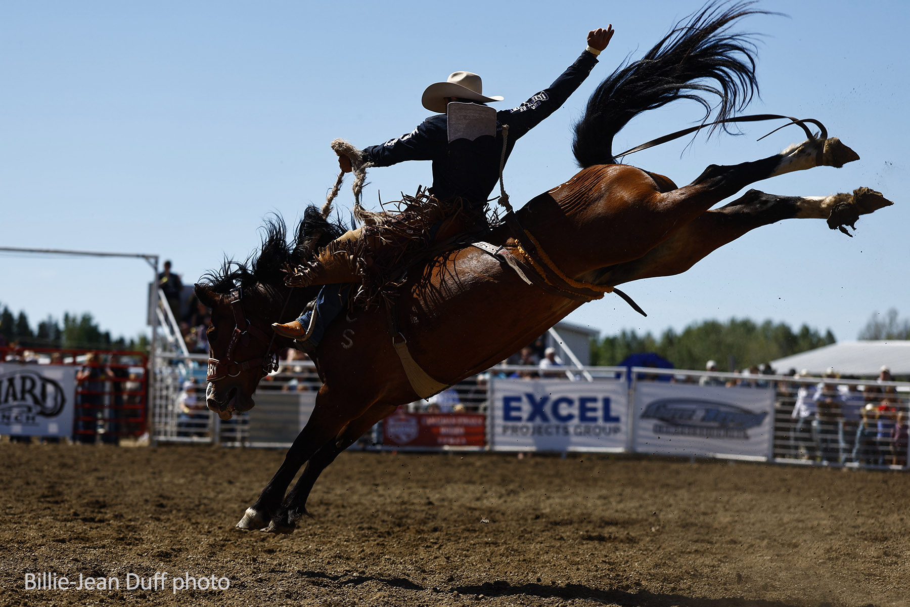 Quinten Taylor & Calgary Stampede's Yesterdays Delivery. 2026 Wildwood Bronc Bustin photo by Billie-Jean Duff
