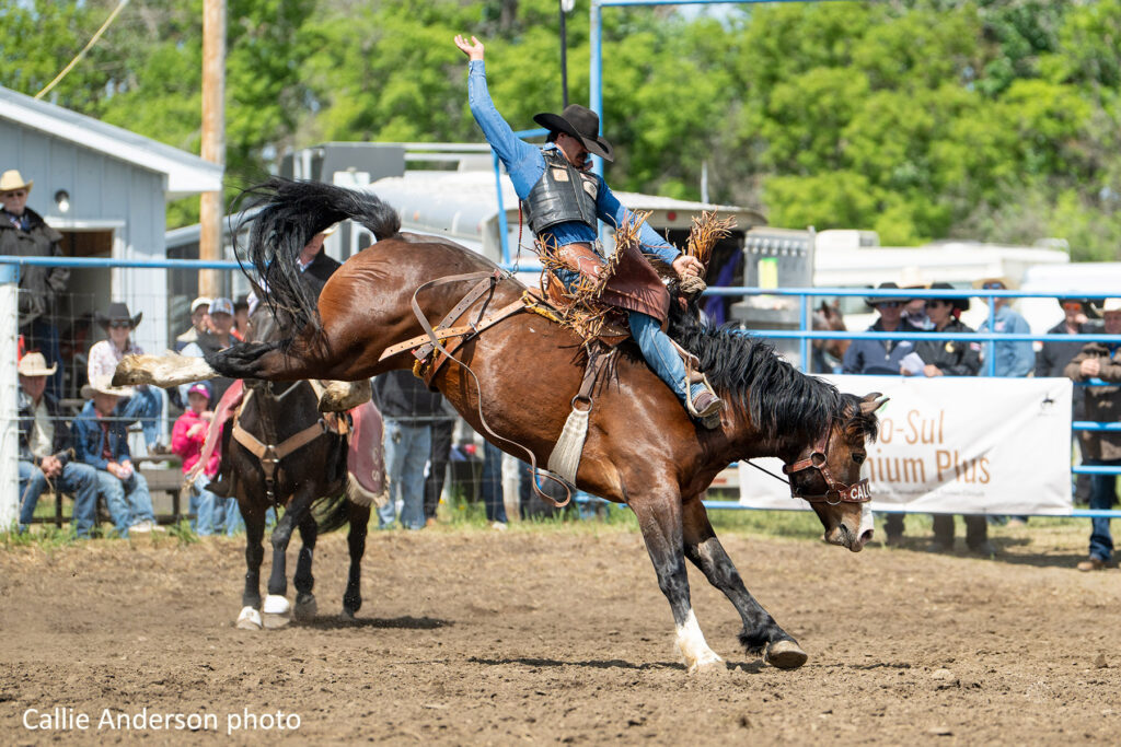 Tyrel Roberts on Calgary Stampede’s H-26 Houston Rodeos - 2026 Hand Hills Lake Stampede photo by Callie Anderson