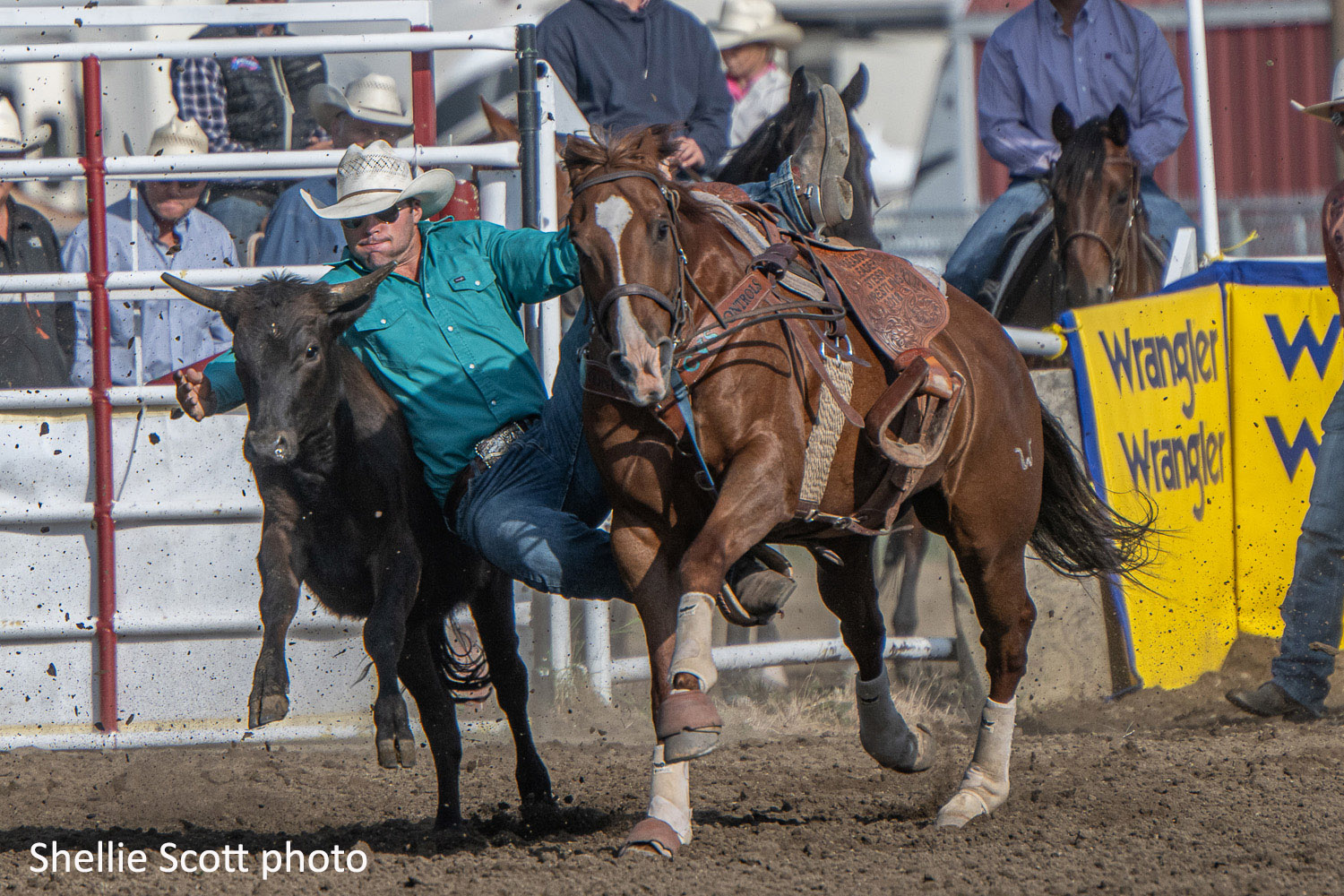 Landon Beardsworth - Strathmore Stampede photo by Shellie Scott