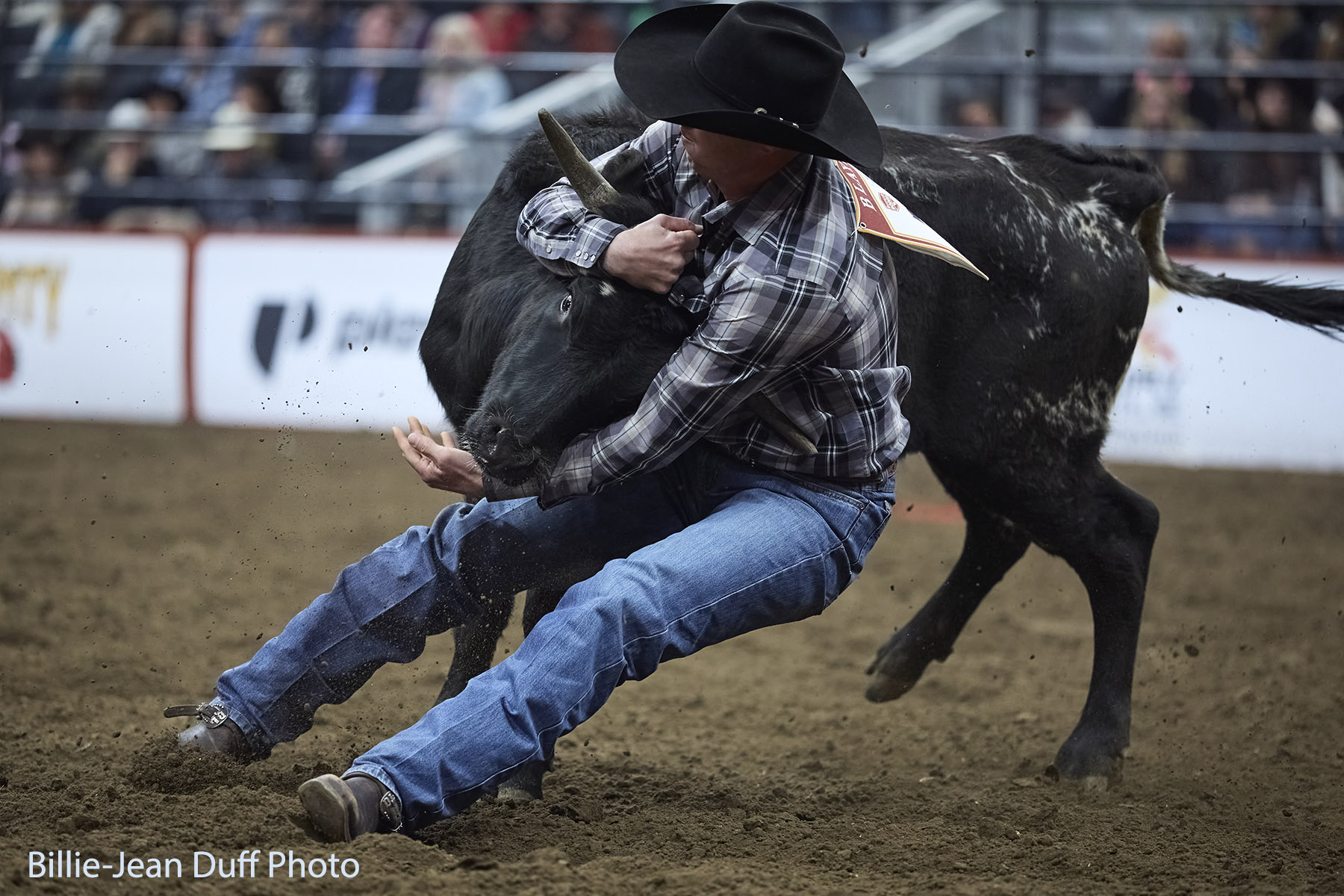 CFR Steer Wrestler Brendan Laye. Billie-Jean Duff photo