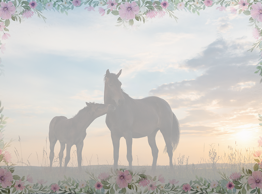 Condolences to the Hay Family
